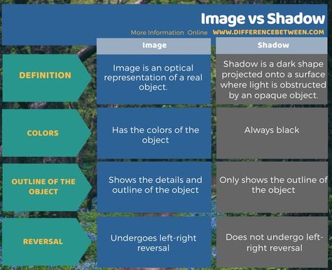 Image / Shadow #english #vocabulary   #learnenglish #image #shadow Alpha And Beta Receptors, Adrenergic Receptors, Peptide Bond, Parasympathetic Nervous System, Structure And Function, Do What Is Right, Pharmacology, Citric Acid, English Vocabulary