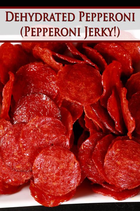 Easy Pepperoni Jerky [Dehydrated Pepperoni Slices] Pepperoni Jerky Recipe, Dehydrated Camping Food, Dehydrator Recipes Fruit, Best Food Dehydrator, Dehydrating Food Storage, Best Survival Food, Pork Jerky, Food Dehydration, Healthy Chips