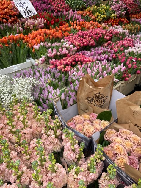 London Ideas, Columbia Road Flower Market, Columbia Road, Flower Market, Columbia, London, Road, Flowers