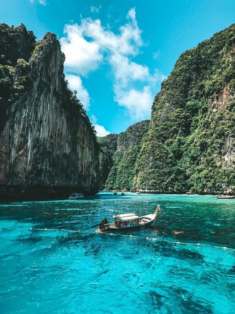 Thailand Koh Phi Phi, Phi Phi Island Thailand, Koh Phi Phi, Leopard Shark, Thailand Tourist, Cool Sharks, Thailand Destinations, Phi Phi Island, Thailand Hotel