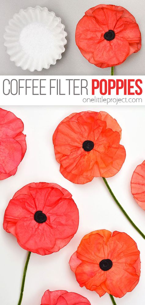 These coffee filter poppies are SO PRETTY and really easy to make! This is such a fun craft for kids, tweens, teens, adults, and seniors. It's an easy craft for Remembrance Day or Veterans Day, and these DIY flowers also make the perfect homemade gift for Mother's Day. Memorial Day Classroom Decorations, Memorial Crafts For Toddlers, Memorial Day Art For Toddlers, Memorial Day Crafts For Toddlers, Infant Crafts, Remembrance Day Art, June Crafts, Coffee Filter Crafts, Folding Origami