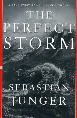 The Perfect Storm Sales And Operations Planning, Books To Movies, A Single Man, The Perfect Storm, Without A Trace, My Bookshelf, Perfect Storm, Adventure Book, True Life