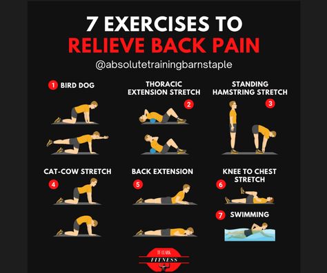 Discover how to strengthen a weak lower back and prevent back pain. Visit https://tfclarkfitnessmagazine.com/back-workout-how-to-best-strengthen-a-weak-lower-back/ a digital magazine that provides free fitness and health content to learn more! #weaklowerback #lowerbackpain #backpain #strongback #stronglowerback #backpainrelief #backworkout #backexercises Strong Back Workout, Low Back Workout, Flex Wheeler, Push Workout, Stomach Muscles, Ideal Body Weight, Phil Heath, Ronnie Coleman, Hamstring Stretch