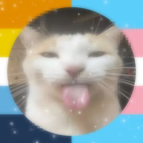 Trans Aroace Flag, Trans Widgets, Trans Cat Pfp, Hidden Trans Pfp, Trans Pfp Discreet, Trans Ftm Pfp, Aro Ace Pfp, Trans Pfp Boy, Trans Flag Art