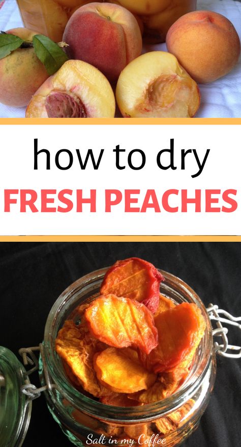 How to dry fresh peaches in a dehydrator #peaches #dehydrator #foodpreservation #driedfruit #selfsuffiency #dehydrating #peachrecipes Can You Freeze Nectarines, How To Freeze Nectarines, Freezing Nectarines, Freezing Peaches, Freezing Food Guide, Dehydrator Recipes Fruit, Freezer Hacks, Nectarine Recipes, Dehydrating Food Storage