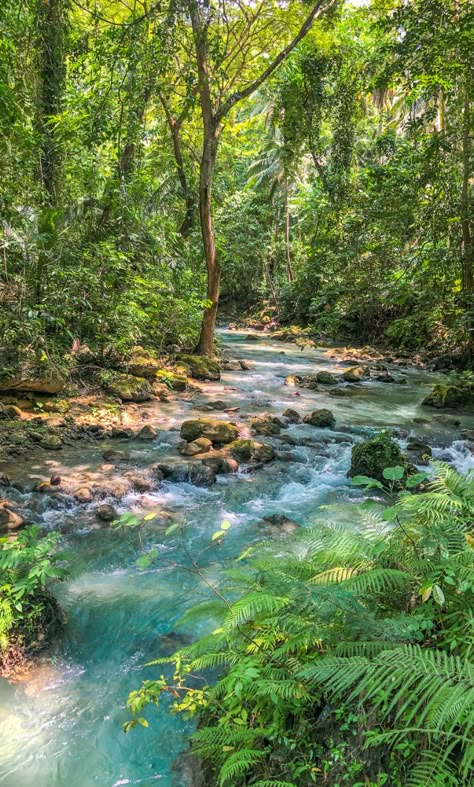 Alegria Cebu Aesthetic, Cebu Philippines Aesthetic, Nature Trip Philippines, Nature In Philippines, Cebu Aesthetic, Philippines Waterfalls, Cebu Phillipines, Cebu Photography, Kawasan Falls Cebu