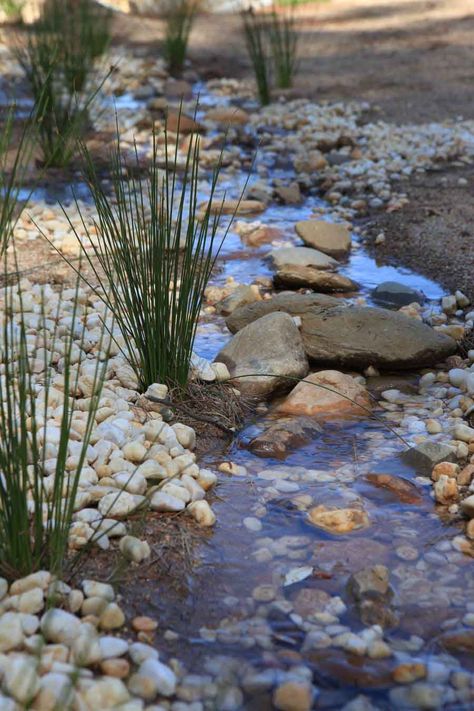 Dry River Beds, Dry River Bed, Dry Stream, Garden Stream, Powerful Witch, Rain Gardens, Dry Creek Bed, Dry River, River Rock Landscaping