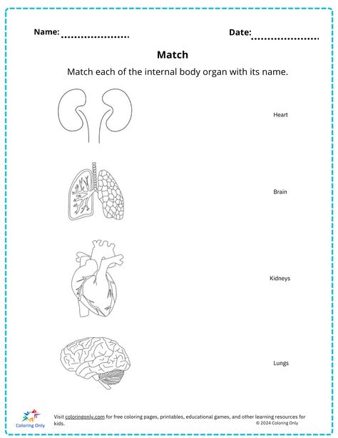 Science What Is Science Worksheet, Science Worksheets For 4th Grade, Human Body Structure, Homework Worksheets, What Is Science, Toddler Homeschool, Subtraction Worksheets, 2nd Grade Worksheets, Science Worksheets