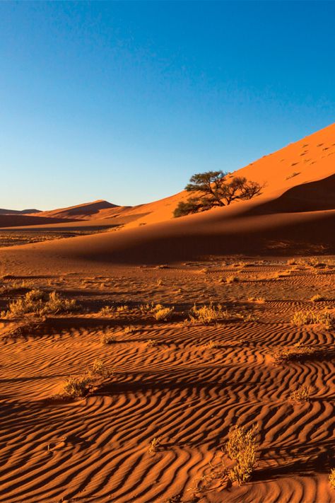 Kgalagadi Transfrontier Park, Botswana Aesthetic, Bantu People, Botswana Travel, Kalahari Desert, Desert Aesthetic, Northern Cape, Okavango Delta, Peace Corps