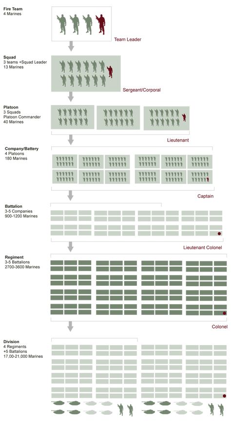 US Military Structure Chart | Army Rank Structure | VetFriends.com Marine Corps Rank Structure, Army Formation, Army Structure, Future Warfare, Army Divisions, Ranking List, Army Ranks, Military Tactics, Military Ranks