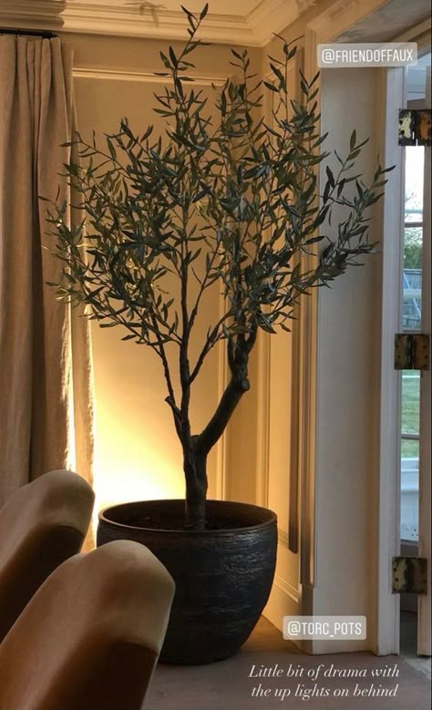 Faux Olive Tree, Decor Ideas Kitchen, Vintage Elegance, Olive Tree, Dream House Decor, Ideas Kitchen, Dream Home Design, Luxury Living Room, 인테리어 디자인