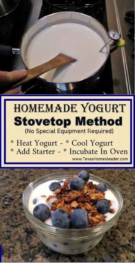 Homemade Yogurt Recipes, Diy Yogurt, Banana Jam, Homemade Greek Yogurt, Making Yogurt, Yogurt Recipe, Cheese Tasting, Homemade Yogurt, Cooking Easy