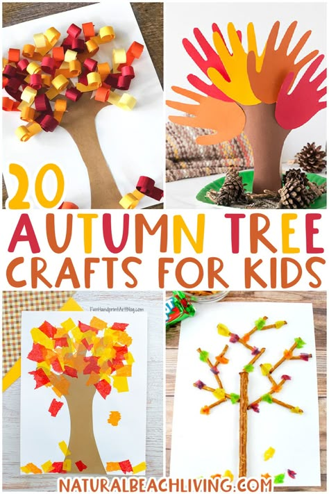 20+ Fall Tree Crafts for Kids - Natural Beach Living Autumn Tree Craft Preschool, Fall Tree Craft Kindergarten, Fall Art Projects 1st Grade, Easy Thanksgiving Art Projects For Kids, Fall Tree Crafts For Toddlers, Fall Tree Art Preschool, Fall Tree Activities For Preschool, Fall Tree Painting For Kids, Fall Tree Preschool Craft