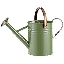 Check this out at Amazon Beachy Garden, Small Houseplants, Water Vessel, Plant Watering Can, Diwali Decoration Items, Watering Plants, Metal Watering Can, Plant Watering, Farm Field