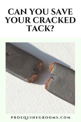 Discover creative ways to repurpose cracked leather items! Don't toss them away, turn them into stunning decorations for your equestrian-themed home. 🐎✨ #HorseDecor #LeatherRepurpose   #equestrian #horselife #smallbarn Repurposed Horse Tack, Horse Collar Decor Ideas, Horse Collar Decor, Leather Horse Tack, Horse Care Tips, Soap Packing, Horse Equipment, Animal Hide, Horse Grooming