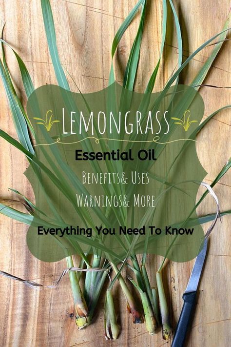 ♦Lemongrass Essential Oil Benefits♦ Learn More About Lemongrass Oil...Essential Oils Uses♦Essential Oil Info...Essential Oils Lemongrass...Find Out More...Everything You Need To Know...Click Here♦ Celtic Spells, Lemongrass Essential Oil Uses, Lemongrass Essential Oil Benefits, Essential Oils For Energy, Essential Oils For Inflammation, Oil On Skin, Make Essential Oils, Oils For Energy, Essential Oils Benefits