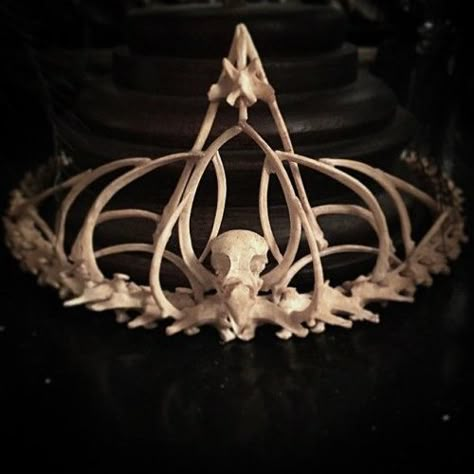 Crown Display Ideas, Pageant Crown Display, Pageant Crown Display Ideas, Bone Golem, Wings Headpiece, Bone Crown, Crown Display, Oddities Jewelry, Crown Drawing