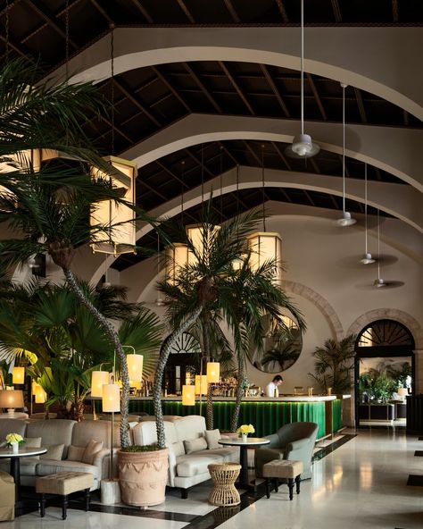 Four Seasons Miami, Coastal Hotel, Chatham Bars Inn, Miami Aesthetic, Orchid Tree, Built In Banquette, Ipe Wood, Season Aesthetic, Live Oak Trees