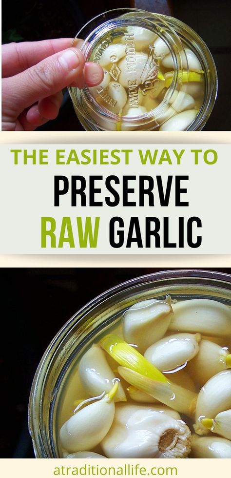 What To Do With Garlic Cloves, Canned Garlic Cloves, Storing Garlic Cloves, Marinated Garlic Cloves Recipes, Garlic Preserving, Canning Garlic Cloves, Preserving Garlic Cloves, How To Preserve Garlic Cloves, How To Preserve Fresh Garlic