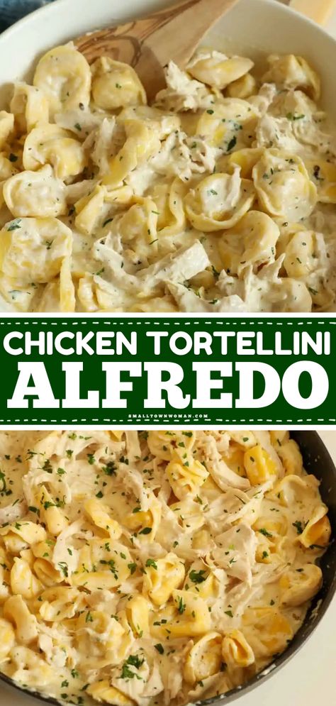 This easy chicken tortellini alfredo is amazing! You're just 20 minutes away from this weeknight dinner for family. Everyone will love this simple pasta recipe with rotisserie chicken and cheese tortellini in a rich and creamy homemade alfredo sauce! Easy Chicken Tortellini Alfredo, Recipes With Chicken Tortellini, Tortellini Recipes Chicken Alfredo Sauce, Pasta Recipes With Tortellini, Alfredo Rotini Pasta Recipes, Chicken Tortilla Alfredo, Easy Dinner Recipes Cheese Tortellini, Tortellini And Rotisserie Chicken, Tortellini Alfredo With Chicken