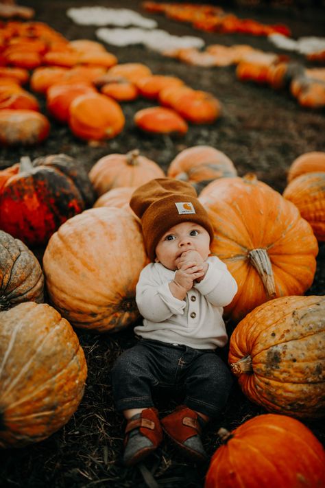 Infant In Pumpkin Picture, Pumpkin 6 Month Pictures, Pumpkin Patch Infant Photos, Baby In A Pumpkin Photoshoot, 6 Month Pumpkin Photos, Baby With Pumpkin Pictures, First Pumpkin Patch Pictures, Baby First Fall Pictures, Fall Baby Shoot Ideas