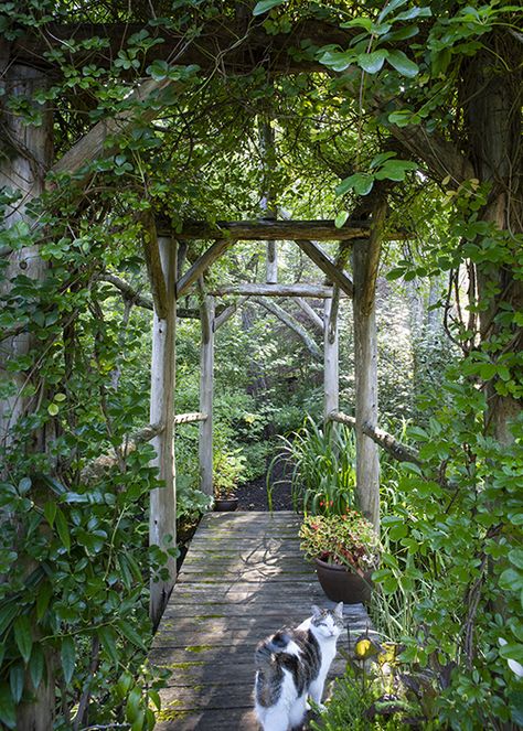 Create an Enchanting Garden Where the Whole Family Can Play Forest Garden Aesthetic, Forest Like Garden, Woodland Garden Ideas Enchanted Forest, Woodland Garden Paths And Walkways, Plant A Forest In Backyard, Forrest Food Garden, Backyard Woods, Enchanted Forest Garden, Woodland Garden Ideas