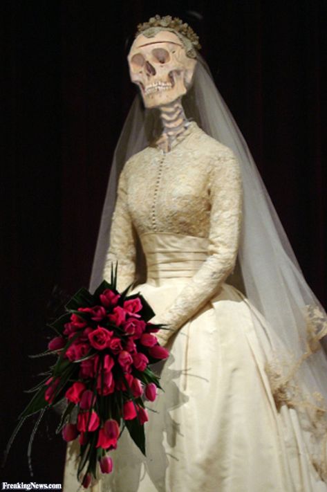 Skeleton bride Brides Pictures, 2022 Halloween Costume, Haunted Garden, Skeleton Bride, Photoshopped Pictures, Skeleton Funny, Haunted Hayride, Skeleton Girl, Funny Bride