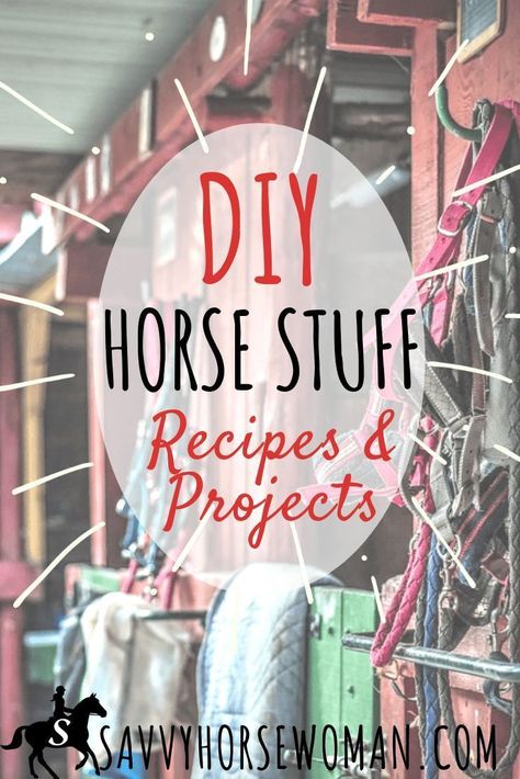 DIY Horse Stuff - Easy Horse Care Recipes and Projects from Savvy Horsewoman Diy Horse Stuff, Horse Projects, Horse Tack Diy, Horse Hacks, Diy Horse Barn, Barn Hacks, Horse Information, Horse Care Tips, Horse Info