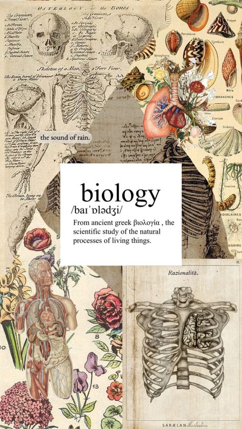 bio Desktop Wallpaper Science, Life Science Wallpaper, Science Wallpaper Biology Aesthetic, Biology Aesthetic Background, Human Biology Aesthetic, Biology Book Cover, Biomedical Science Aesthetic, Biology Aesthetic Wallpaper, Biology Student Aesthetic