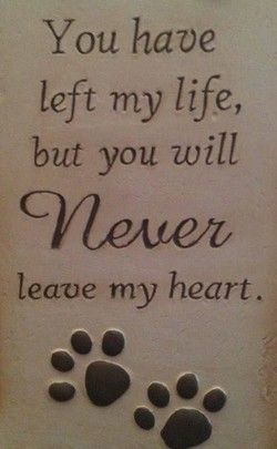 Pet Remembrance, Cane Corso, Dog Memorial, Dog Paw, Animal Quotes, Pet Loss, Pet Stuff, Paw Prints, Dog Quotes