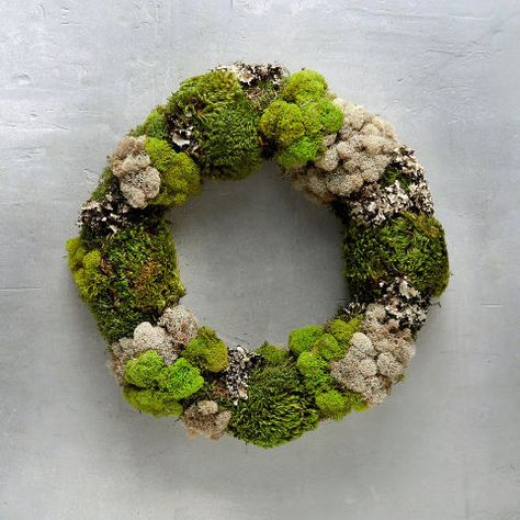 Mixed moss wreath by Terrain Moss Wall Art Wreaths & Garlands, Lichen Wreath, Nature Crafts For Adults, Moss Wreath Diy, Sheet Moss, Moss Wreath, Straw Wreath, Moss Decor, Reindeer Moss