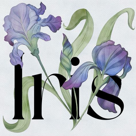 Irises.. #art #design #digitalart #creative #artoftheday #iris #arttherapy #surfacepattern #surface #textiles #wallpaper #floraldesign #floral #botanical Iris Print, Iris Flower Wallpaper, Iris Wallpaper, Iris Purple Aesthetic, Iris Aesthetic Flower, Iris Pattern, Iris Aesthetic, Iris Core, Iris Illustration