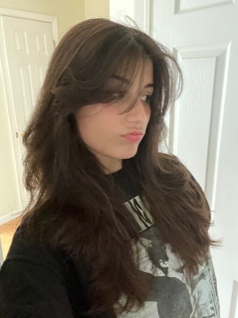 layered hair rockstar lana del rey lana cherry aesthetic coquette emo grunge layers 90s blowout inspo hair inspo inspiration look trendy hair alt curtain bangs Long Layered Curtain Bangs, Tiktok Haircut, Grunge Haircut, Bangs Wavy Hair, Hair Inspiration Long, Summer Haircuts, Inspo Hair, Haircut Inspo, Hair Cut Ideas