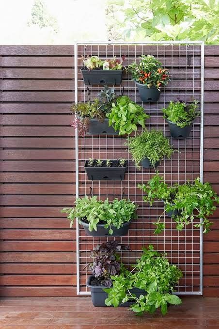 Herb Wall Outdoor, Modern Herb Garden, Side Path, Balcony Herb Gardens, Vertical Herb Gardens, Herb Garden Wall, Vertikal Garden, Vertical Garden Plants, Vertical Vegetable Gardens