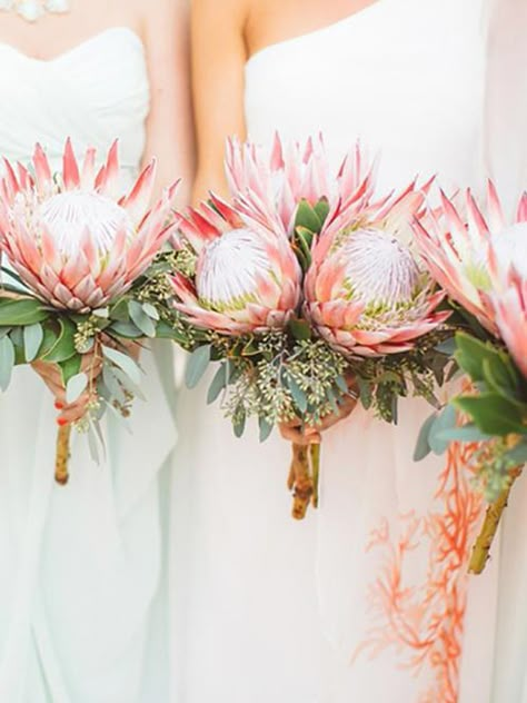 King Protea Bridal Bouquets That Are Crazy Striking Protea Bouquet Wedding, Protea Wedding, Protea Bouquet, Wedding Flower Guide, Eucalyptus Bouquet, King Protea, Tafel Decor, Wedding Flowers Summer, Fall Wedding Bouquets