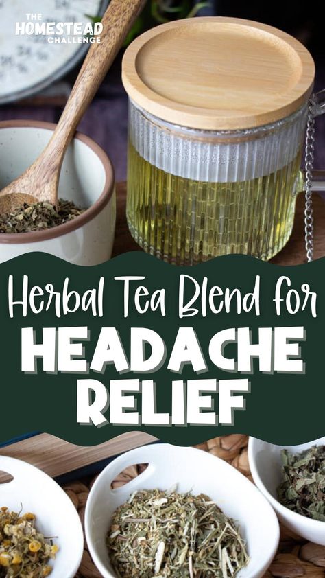 yellow tea and herbs Herbs For Headaches, Tea For Migraines, Herbal Tea Recipes Homemade, Teas For Headaches, Tea Blends Recipes, Herbal Tea Garden, Tea Remedies, Herbal Medicine Recipes, Best Herbal Tea