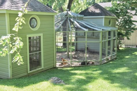 Fancy Chicken Coop, Reban Ayam, Portable Chicken Coop, Fancy Chickens, Chicken Coop Run, Best Chicken Coop, Coop Design, Beautiful Chickens, Chicken Coop Designs