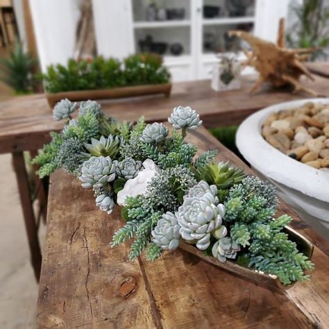 Mix of Gray-Blue Succulents, Green Donkey Tails and Blue Sedum with Natural Crystal in Bronze Rectangular Metal Tray 31"W Crystal Container, Blue Succulents, Succulent Garden Design, Succulent Centerpieces, Succulent Garden Diy, Succulents Decor, Succulent Gardening, Front Porch Christmas Decor Ideas, Porch Christmas Decor Ideas