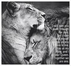 A queen always protects her king so make her feel like the queen you need and want Lion Quotes, Lion Love, I Will Love You, Quotes By Authors, King Queen, Famous Quotes, Big Cats, True Love, The Words