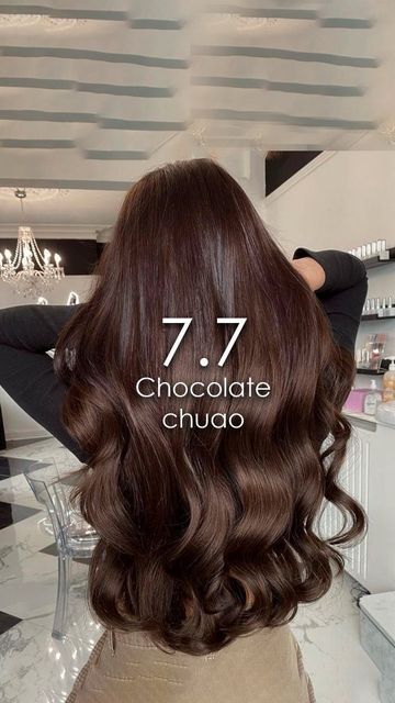 Long Dark Chocolate Brown Hair, Chocolate Brown Hair Colour, Dark Ash Hair Color, Chocolate Brown Hair Dye, Dark Chocolate Hair Color, Mocha Color Hair, Dark Chocolate Hair, Dark Chocolate Brown Hair, Balayage Straight Hair