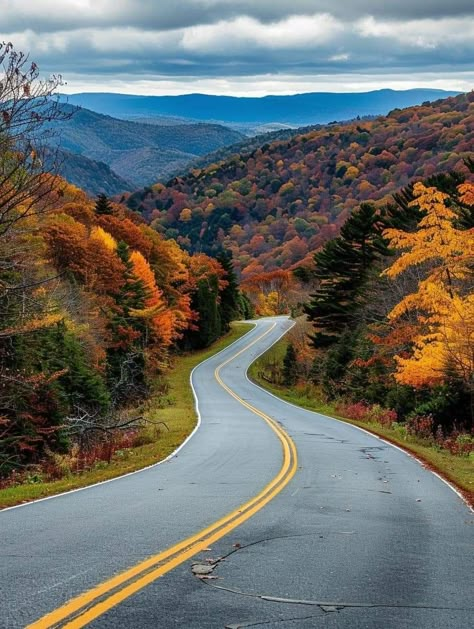 Allegheny Mountains from the Highland Scenic Highway, West Virginia West Virginia Aesthetic, Virginia Aesthetic, Tennessee Aesthetic, Tennessee Living, West Virginia Mountains, Wheeling West Virginia, West Virginia Travel, Allegheny Mountains, My Dream Future