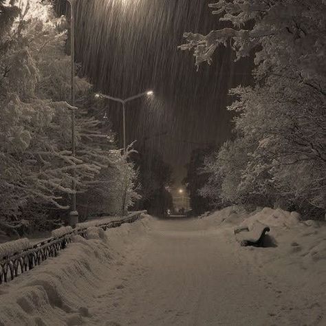 #snow #darkacademia #winter #chill #cold #aesthetic Winter Aesthetic, At Night, I Hope, Trees, Road, Tumblr