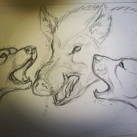 A logo design in progress! Pig Hunting Tattoos, Hog Hunting Tattoos, Hog Tattoo, Pig Hunting Dogs, Hunting Drawings, Pig Hunting, Hunting Tattoos, Boar Hunting, Hog Hunting