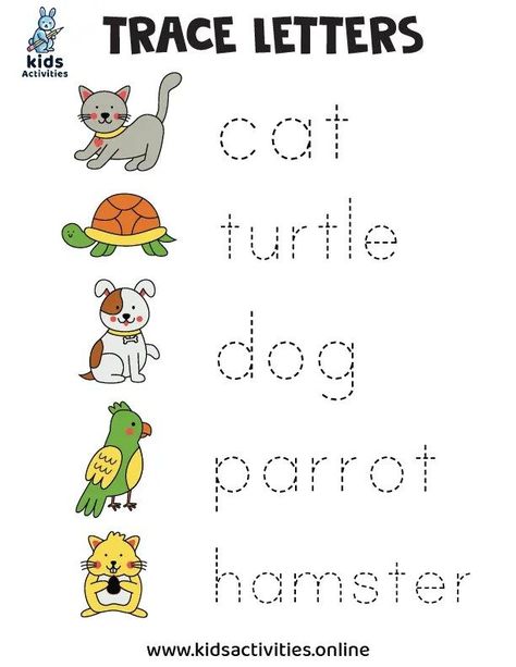 Free!- Pet Worksheets for Preschoolers ⋆ Kids Activities Kg Worksheets, Animals And Their Habitats, Kindergarten Colors, Worksheets For Preschoolers, Kindergarten Math Games, Alphabet Worksheets Kindergarten, Animal Worksheets, Free Preschool Worksheets, Printable Preschool Worksheets