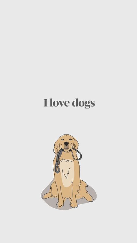 Golden Retriever Background, Dog Screensaver, Cool Dog Wallpaper, Sausage Dog Wallpaper, Dog App Icon, Dog Procreate, Dog Wallpaper Aesthetic, Aesthetic Dog Wallpaper, Light Widgets