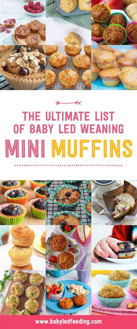 baby led weaning muffins Freezer Mini Muffins, Hide Veggies In Food Picky Eaters, Baby Led Feeding Recipes, Baby Food Muffins Recipes, Baby Veggie Muffins, Freezer Friendly Blw Recipes, Baby Mini Muffin Recipes, Baby Mini Muffins, Mini Muffins For Babies