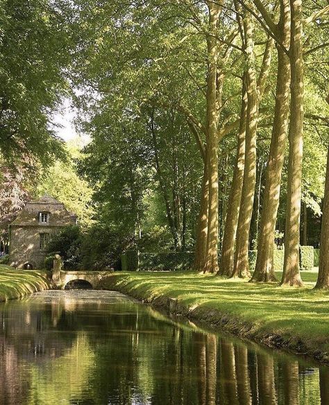 Farm Lifestyle, Countryside House, French Countryside, English Countryside, Nature Aesthetic, Pretty Places, Green Aesthetic, Zurich, Lush Green