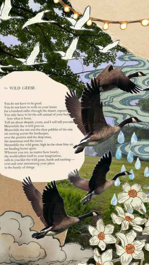 wild geese. #maryoliver #wildgeese #wildgeesepoem Winter Break Bucket List, Wild Geese Mary Oliver, Essay Quotes, Samaria Gorge, Goose Tattoo, Cottage Core Garden, Mary Oliver Poems, Garden Witch, Getting My Life Together