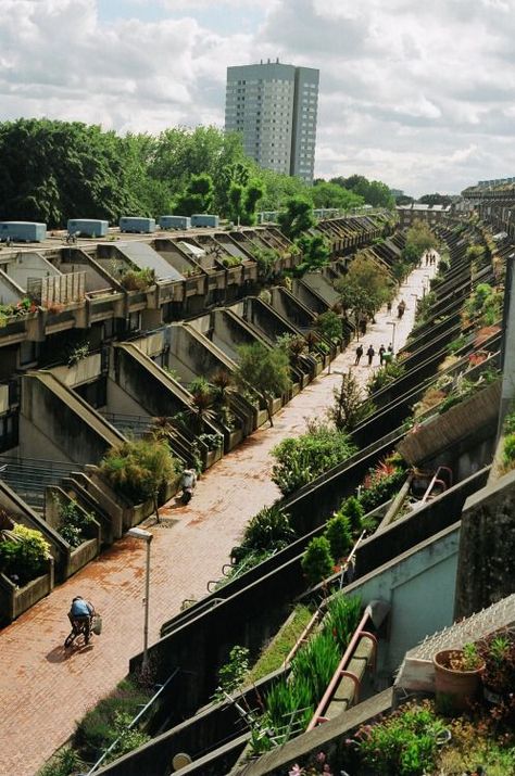 Lots Of Plants, Brutalism Architecture, Eco Architecture, Green Architecture, Brutalist Architecture, Urban Architecture, Futuristic Architecture, Brutalism, Architectural Inspiration