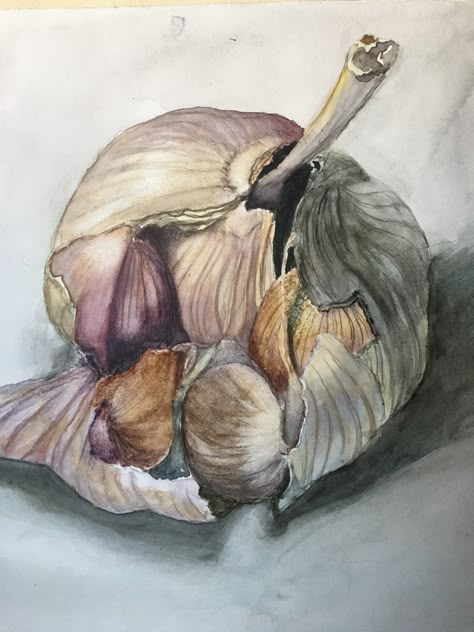 Garlic Sketch, Organic Forms Drawing, Onion Drawing, Garlic Art, Pencil Art Projects, Inspiration To Draw, Colored Pencil Art Projects, Vegetable Painting, Dotted Drawings